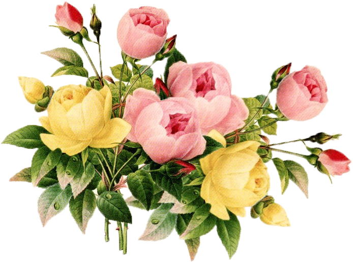 webpng/media-maker-software-development-training-institute-038.png