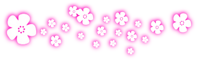 webpng/media-maker-technology-web-design-and-development-training-institute-074.png