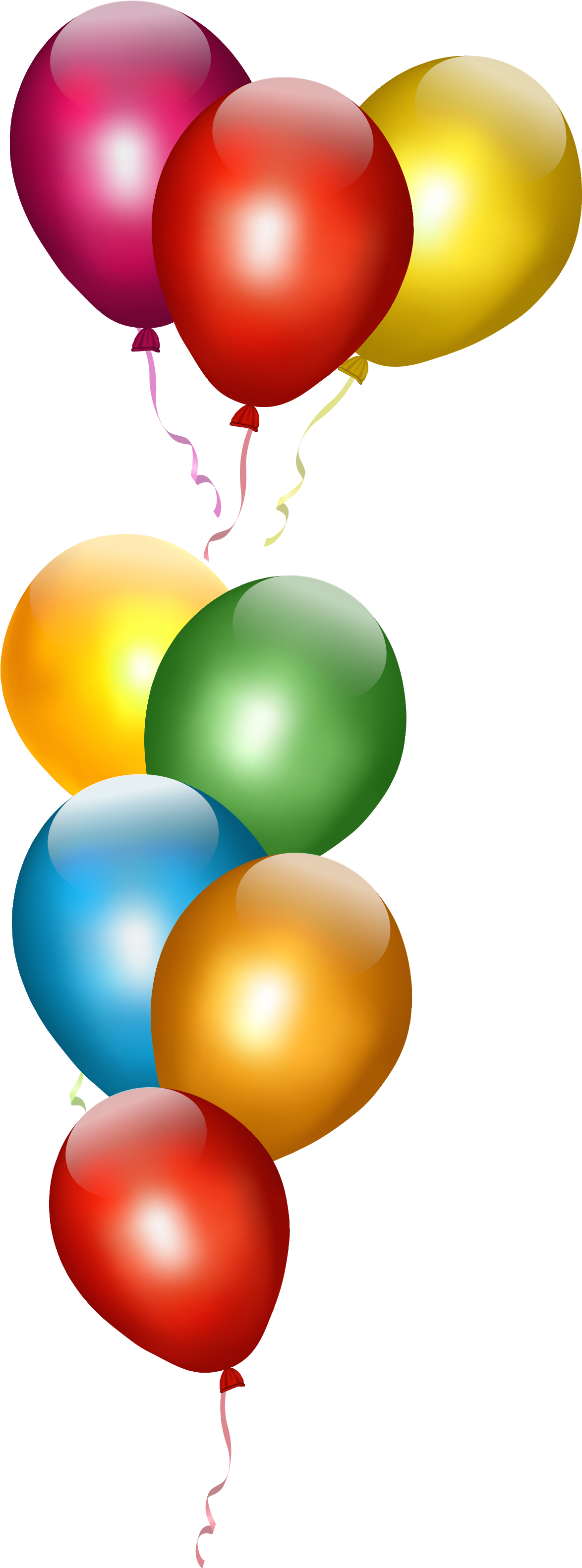 webpng/software-development-training-institute-033.png