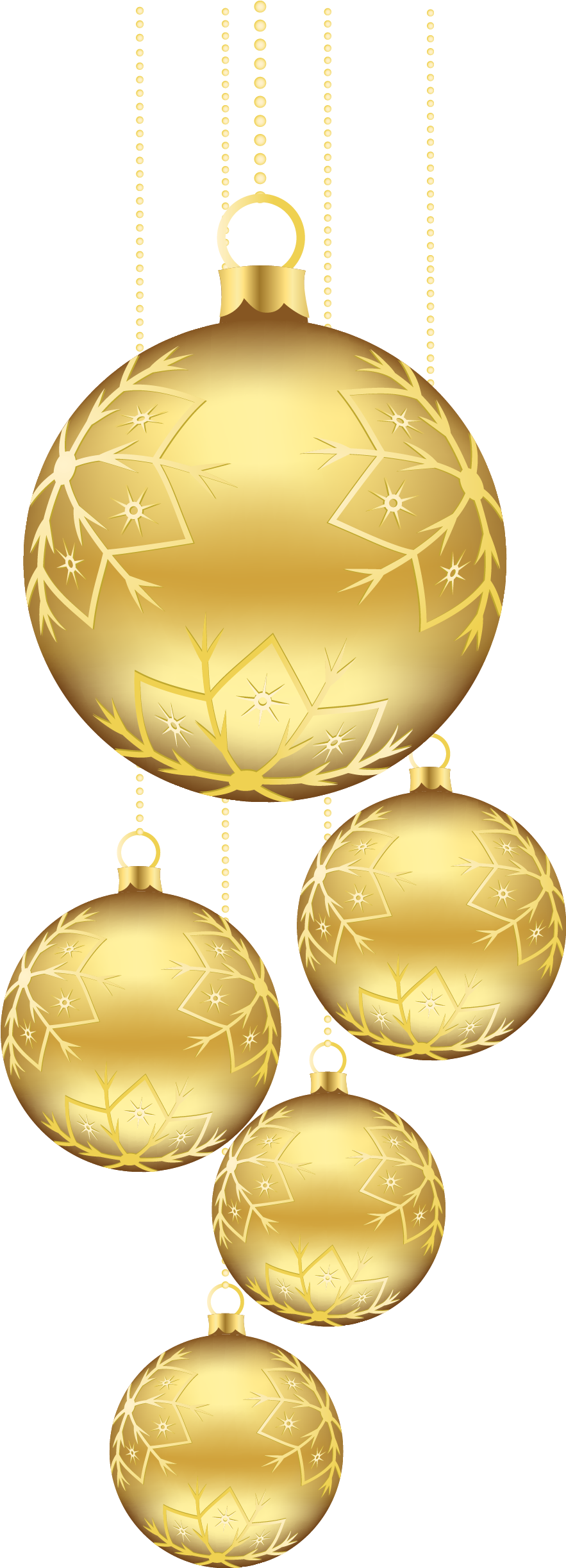 webpng/software-development-training-institute-044.png